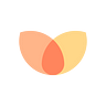 Cocoon
