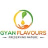 GYAN FLAVOURS EXPORTS