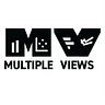 Multiple Views: Visualization Research Explained