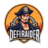 The DeFi Raider