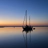 Islander