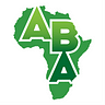 Africans Building Africa