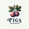 Figs in Winter