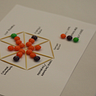 Shaping Design