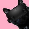 Cat Noir VR