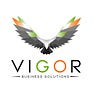 Vigorbizsolutions