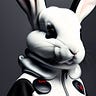 Rabbit7