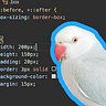 Code and Bird