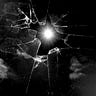 Splint-her
