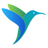 Birdmorning Solutions Pvt. Ltd.