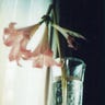 The Dead Poet’s Last Breath