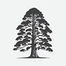 AI Sequoia