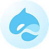 Surf Wallet