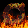 OMI Burn Project