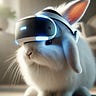 Everything + Rabbit