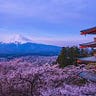 Maru from Tokyo