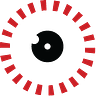 Panoptic Surveillance