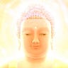 Namo Amitabha Buddha