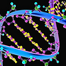 Ancestry and DNA