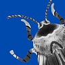 El insecto