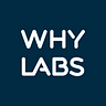 WhyLabs Team