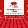 RedBush Technologies