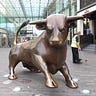 Bull Market