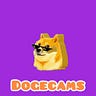 DogeCams