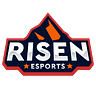 Risen Esports Leagues