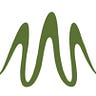 Artist Waves