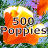 500 Poppies