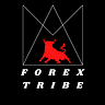 FOREX TRIBE