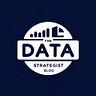 The Data Strategist