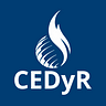 Cedyr