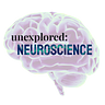 Unexplored Neuroscience
