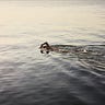 SwimRunDiscover