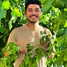 Efe Helvacı