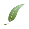 @Smartleaf Profile Image