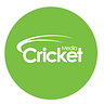 Cricket Media
