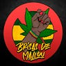 Brisas de Mallou Medium Writer - @brisasdemallou Profile image