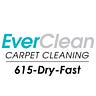 EverClean Nashville