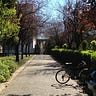 bene_pierf