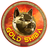 Gold Shiba
