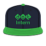 DOT Intern