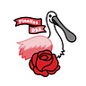 Pinellas DSA