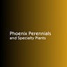 Pheonix Perennials & Specialty Plants