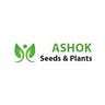 Ashokseedsplants