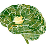 NeuroEducate
