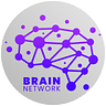 Brain Network