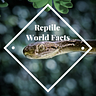 Reptile World Facts